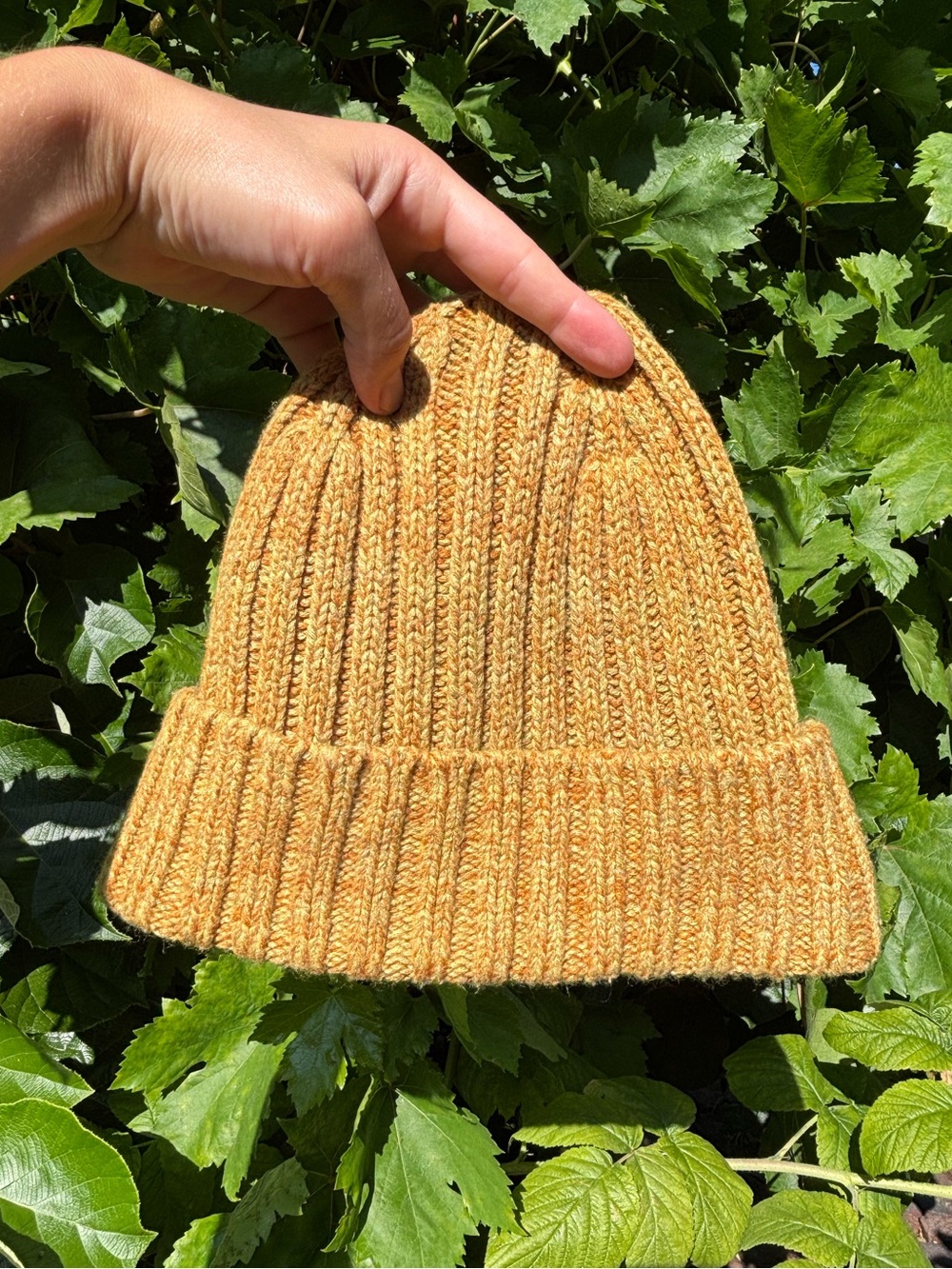 Uniqlo Ribbed Mustard Knit Beanie